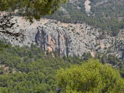 Valle de Leiva-Perdiz 2010