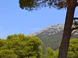 Valle de Leiva-Perdiz 2010