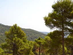 Valle de Leiva-Perdiz 2010