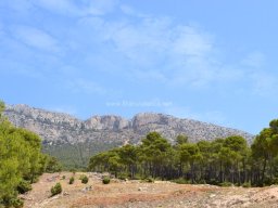 Valle de Leiva-Perdiz 2010