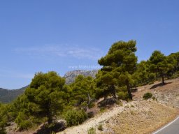Valle de Leiva-Perdiz 2010