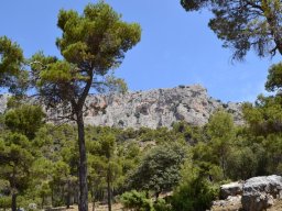 Valle de Leiva-Perdiz 2010