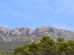 Valle de Leiva-Perdiz 2010