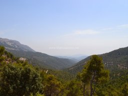 Valle de Leiva-Perdiz 2010