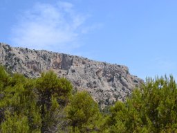 Valle de Leiva-Perdiz 2010
