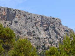 Valle de Leiva-Perdiz 2010