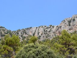 Valle de Leiva-Perdiz 2010