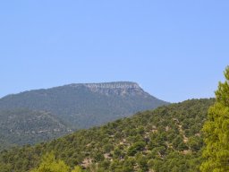 Valle de Leiva-Perdiz 2010