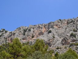 Valle de Leiva-Perdiz 2010