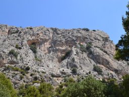 Valle de Leiva-Perdiz 2010