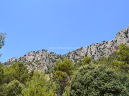 Valle de Leiva-Perdiz 2010