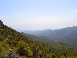 Valle de Leiva-Perdiz 2010