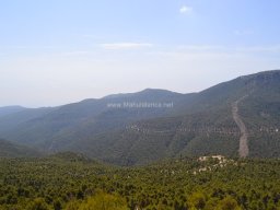Valle de Leiva-Perdiz 2010