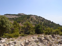 Valle de Leiva-Perdiz 2010