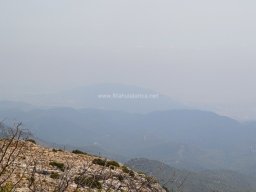 Valle de Leiva-Perdiz 2010