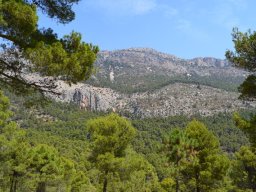 Valle de Leiva-Perdiz 2010