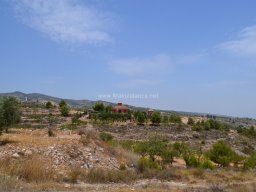 Valle de Leiva-Perdiz 2010