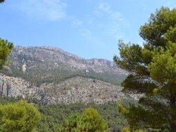 Valle de Leiva-Perdiz 2010