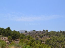 Valle de Leiva-Perdiz 2010