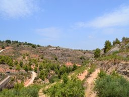 Valle de Leiva-Perdiz 2010