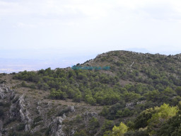 Vertice Selva-Mula