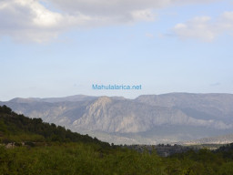 Vertice Selva-Mula