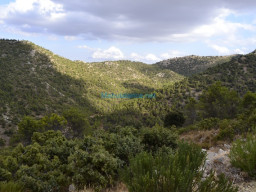 Vertice Selva-Mula