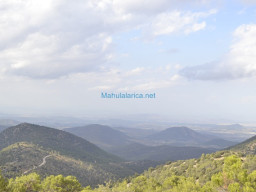 Vertice Selva-Mula