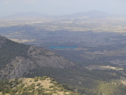 Vertice Selva-Mula