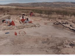 Yacimiento de Villaricos 91-92