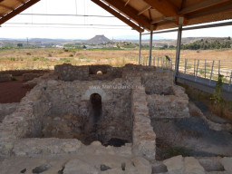 Yacimiento de Villaricos 2014