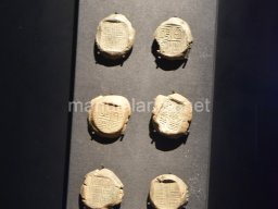 Exposición de los Guerreros de Xian 2023