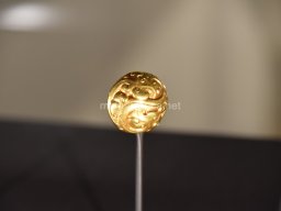 Exposición de los Guerreros de Xian 2023