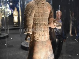 Exposición de los Guerreros de Xian 2023