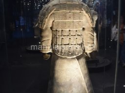 Exposición de los Guerreros de Xian 2023