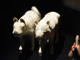 Exposición de los Guerreros de Xian 2023