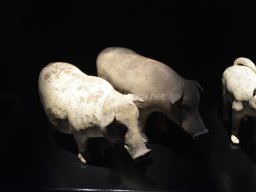 Exposición de los Guerreros de Xian 2023