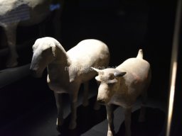 Exposición de los Guerreros de Xian 2023