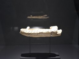 Exposición de los Guerreros de Xian 2023