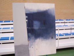 Concurso de Pintura al aire Libre en Mula 2010