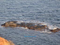 Cabo de Palos 2010