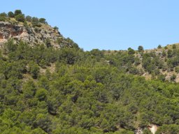 Fuente Caputa 2012