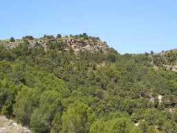 Fuente Caputa 2012