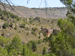 Fuente Caputa 2012