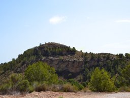 Fuente Caputa 2012
