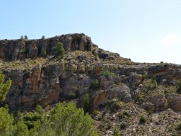 Fuente Caputa 2012