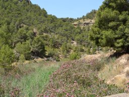 Fuente Caputa 2012