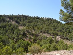 Fuente Caputa 2012