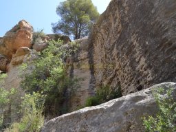 Fuente Caputa 2012