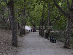 Ciudad de Caravaca 2012